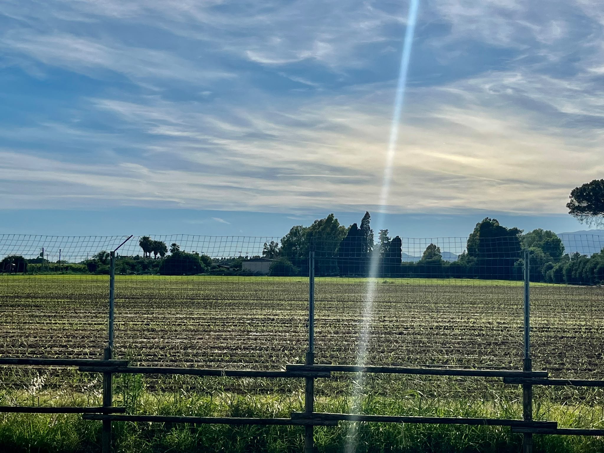Agricoltura, report Confeuro: Benevento tiene sulla SAU ma pesa il calo delle aziende. Tiso: «Servono giovani e investimenti»