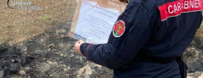 Lioni e Mugnano del Cardinale, controlli dei Carabinieri nel settore della tutela ambientale: denunciati due imprenditori
