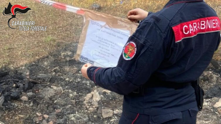 Lioni e Mugnano del Cardinale, controlli dei Carabinieri nel settore della tutela ambientale: denunciati due imprenditori