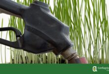 Siccità, Marzano (Confagricoltura Campania): subito più gasolio agricolo per agevolare le imprese