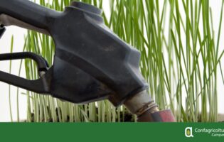 Siccità, Marzano (Confagricoltura Campania): subito più gasolio agricolo per agevolare le imprese