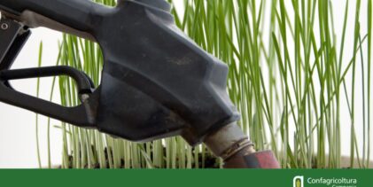 Siccità, Marzano (Confagricoltura Campania): subito più gasolio agricolo per agevolare le imprese