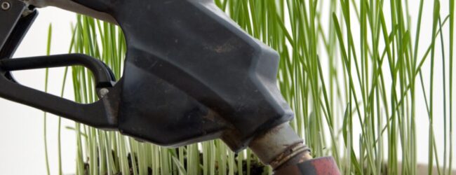 Siccità, Marzano (Confagricoltura Campania): subito più gasolio agricolo per agevolare le imprese