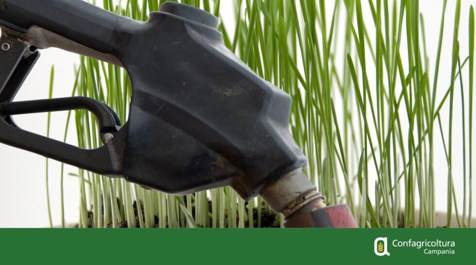 Siccità, Marzano (Confagricoltura Campania): subito più gasolio agricolo per agevolare le imprese