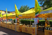 Coldiretti e Mercato contadino, l’Ospedale San Pio punta sulla sana alimentazione