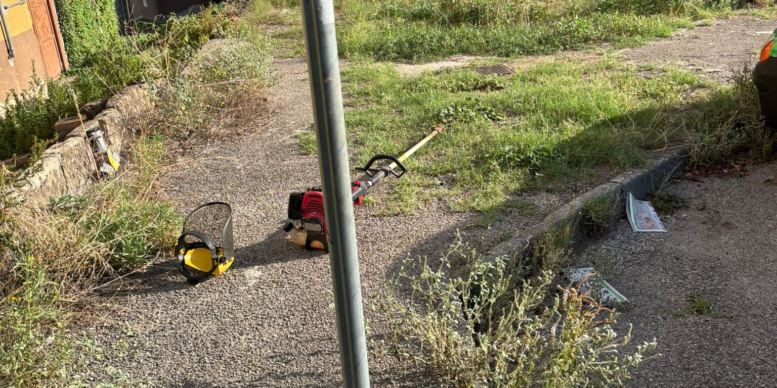 Benevento, Pacevecchia: erba alta per tutta l’estate in Via Onofrio Fragnito. I residenti pagano di tasca propria il taglio
