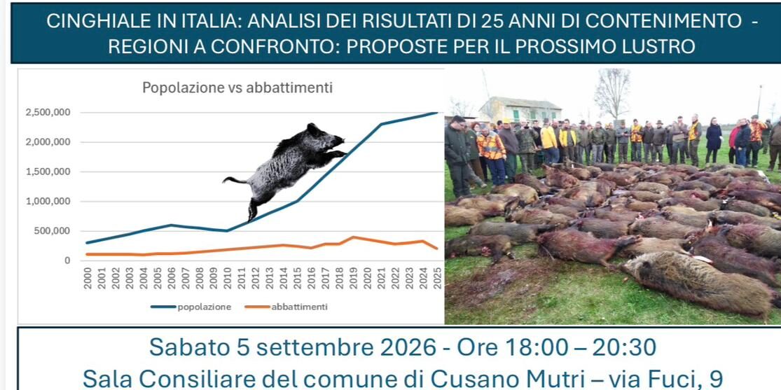 Cinghiale in Italia: a Cusano Mutri istituzioni, università e territori a confronto su 25 anni di contenimento